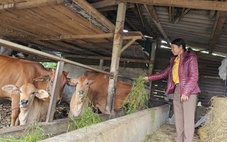 Vay không lãi, khi trả lại tiền đúng hạn người dân được tặng thêm 4 triệu đồng