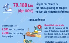 Thủ tướng: Phải thực hiện mục tiêu kép chống khai thác IUU và phát triển nghề cá bền vững