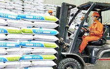 Giá nguyên liệu hạ nhiệt, vì sao thức ăn chăn nuôi vẫn 'đứng giá'?