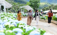 Thời tiết hôm nay 14-12: Bắc Bộ có nơi dưới 5 độ C, Trung Bộ mưa to, Nam Bộ nắng