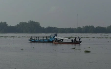 Tìm thấy thi thể người lái đò trong vụ vỏ lãi tông đò ngang trên sông Tiền
