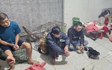 Khởi tố 4 bị can trộm cắp chó ở Khánh Hòa