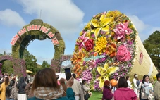 Bó hoa tươi khổng lồ ở Đà Lạt xác lập kỷ lục Việt Nam