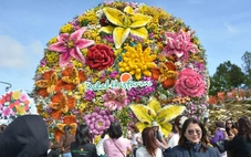 Bó hoa tươi khổng lồ ở Đà Lạt xác lập kỷ lục Việt Nam