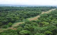 Dự án sân golf Đak Đoa được tỉnh Gia Lai mời nhà đầu tư quan tâm trở lại