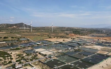 Gần 6.700 tỉ đồng thực hiện dự án di dời, tái định cư cho Nhà máy Điện hạt nhân Ninh Thuận 1