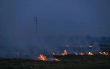 Phổ cập văn hóa môi trường