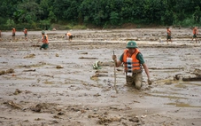 Người đi biền biệt không về: Khi nào là mất tích, khi nào bị coi là đã chết?