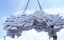 Vị thế nông nghiệp Việt Nam trong bối cảnh hội nhập