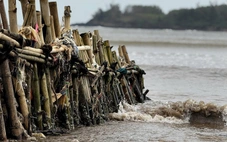 Tự dựng kè cứu nhà, người dân vẫn bất lực trước triều cường dữ dội