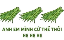 'Mời nhà mình lên núi giùm em', 'hẹ hẹ hẹ' - điểm danh những cụm từ hot khắp cõi mạng 2025