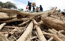 Indonesia thu hồi hàng chục giấy phép lâm nghiệp sau thảm họa lũ quét ở Sumatra