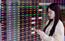 Sắc đỏ phủ thị trường: Cổ phiếu DGC, QCG nằm sàn 2 phiên liên tiếp