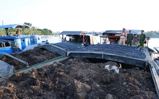 Bắt 7 ghe vận chuyển đất không hóa đơn chứng từ