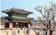 Study Tour Hàn Quốc trở thành xu hướng ‘du lịch’ mới của giới trẻ