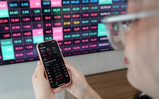 Diễn biến bất thường của loạt cổ phiếu sau tin thoái vốn nhà nước