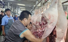 Cuối năm, giá heo hơi bật tăng trên diện rộng