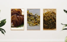 Công dụng khi kết hợp nhiều loại fucoidan vào một sản phẩm