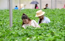 Thời tiết hôm nay 20-12: Bắc Bộ nắng yếu, Nam Bộ nắng gắt