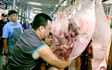 Cuối năm, giá heo hơi bật tăng trên diện rộng