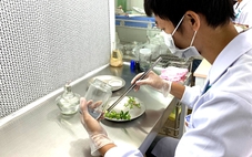 69 nhà khoa học xuất sắc từ nhiều nước về làm việc tại Đại học Quốc gia TP.HCM