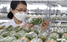 Khoa học và công nghệ mở ra cơ hội cách mạng mới trong nông nghiệp