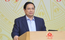 Thủ tướng yêu cầu nghiên cứu xây dựng Luật Kinh doanh cá thể