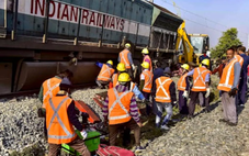 Tàu khách phanh gấp vẫn không kịp, 7 con voi chết trên đường ray Ấn Độ