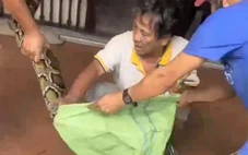 Bắt được con trăn 'khủng' từ Núi Sam bò vào nhà dân giữa trưa