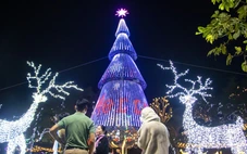 Nhà thờ Đà Nẵng rực sáng đón Giáng sinh, người dân nô nức check-in