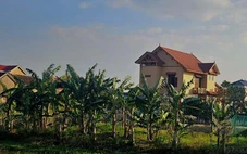 Tổ dân phố cho cựu bí thư xã thuê đất giá 500.000 đồng/năm, quy định cho thuê đất công ra sao?