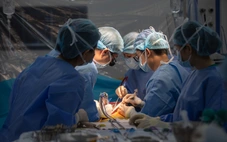 TP.HCM: Thầy giáo nguy kịch, hôn mê sâu 4 ngày được sinh viên hiến gan cứu