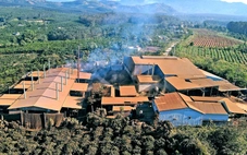 Dân 'ngộp thở' vì lò sấy cà phê trái phép ngay khu dân cư