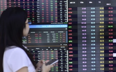 Nhà đầu tư bán tháo cổ phiếu liên quan Shark Hưng?