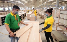 Ngân hàng UOB dự báo GDP năm 2025 của Việt Nam đạt 7,7%