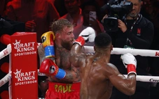 Người bình thường chịu được bao nhiêu cú đấm của võ sĩ boxing?