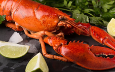 Độc lạ: Nước Anh cấm luộc tôm hùm khi chúng còn… sống