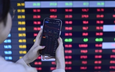 'Cá mập' PYN Elite Fund: Nhiều người nói năm nay nên gọi là 'VIN-Index'