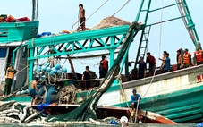 Kịp thời cứu 13 ngư dân trong vụ chìm tàu cá gần đảo Hòn Chuối