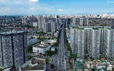 Giá bất động sản chững lại nhưng chưa thể giảm sâu do đâu?