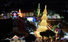 Đồng Nai lung linh đón Giáng sinh, cây thông nón lá nườm nượp khách