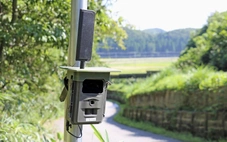 Camera AI - công cụ then chốt giúp ngăn ngừa động vật nguy hiểm