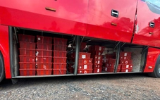 Phát hiện 676 con rắn hổ mang nặng gần 1.000kg dưới gầm xe khách giường nằm