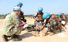 Bản lĩnh Bộ đội Cụ Hồ trong nhiệm vụ tình báo tại Trung Phi