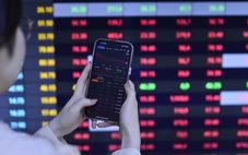 Phát hiện vụ thao túng cổ phiếu Create Capital Việt Nam, dùng hàng chục tài khoản tạo cung cầu giả