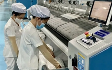 Tây Ninh: Lương cao nhất 431 triệu đồng/tháng, thưởng tết cao nhất 600 triệu đồng/người