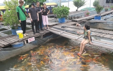 Nghỉ Tết dương lịch 4 ngày: Người vui mừng, người mong công bố sớm hơn