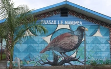 'Họ hàng cuối cùng của chim dodo' bất ngờ tái xuất