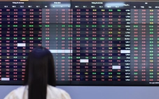 Vingroup rút đề xuất, nhóm cổ phiếu THACO, Hòa Phát 'bùng nổ'