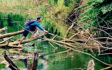 Xuyệt điện hoành hành khắp nơi